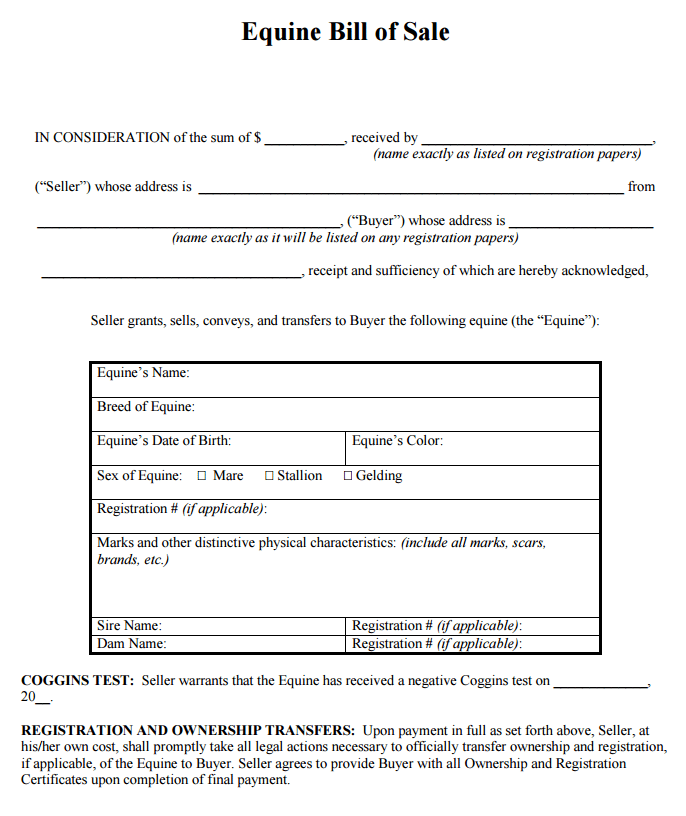 Equine Bill Of Sale Template