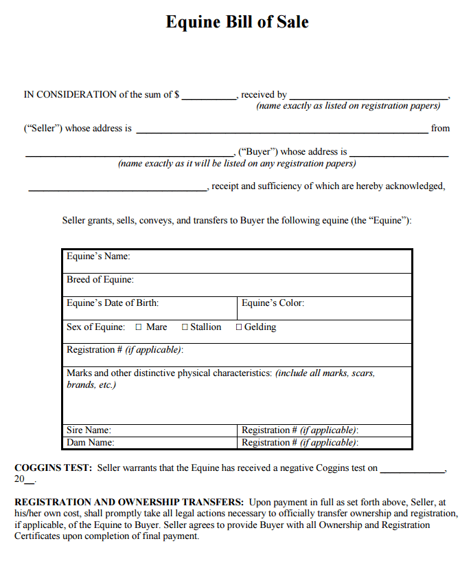 bill of sale grade horse template